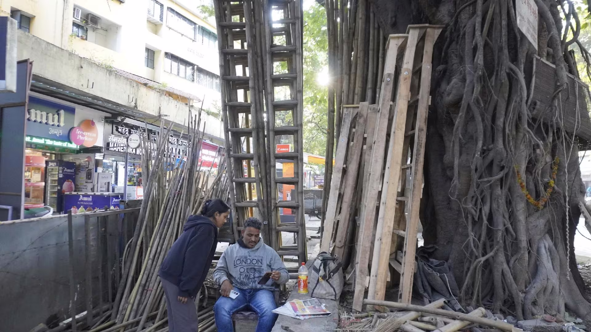 Exploring bamboo as a low-carbon construction material for passive cooling