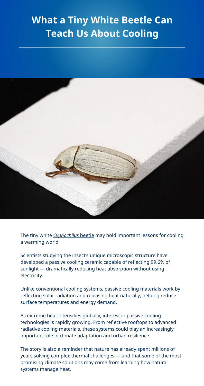 Newsletter June 2026 — page 4