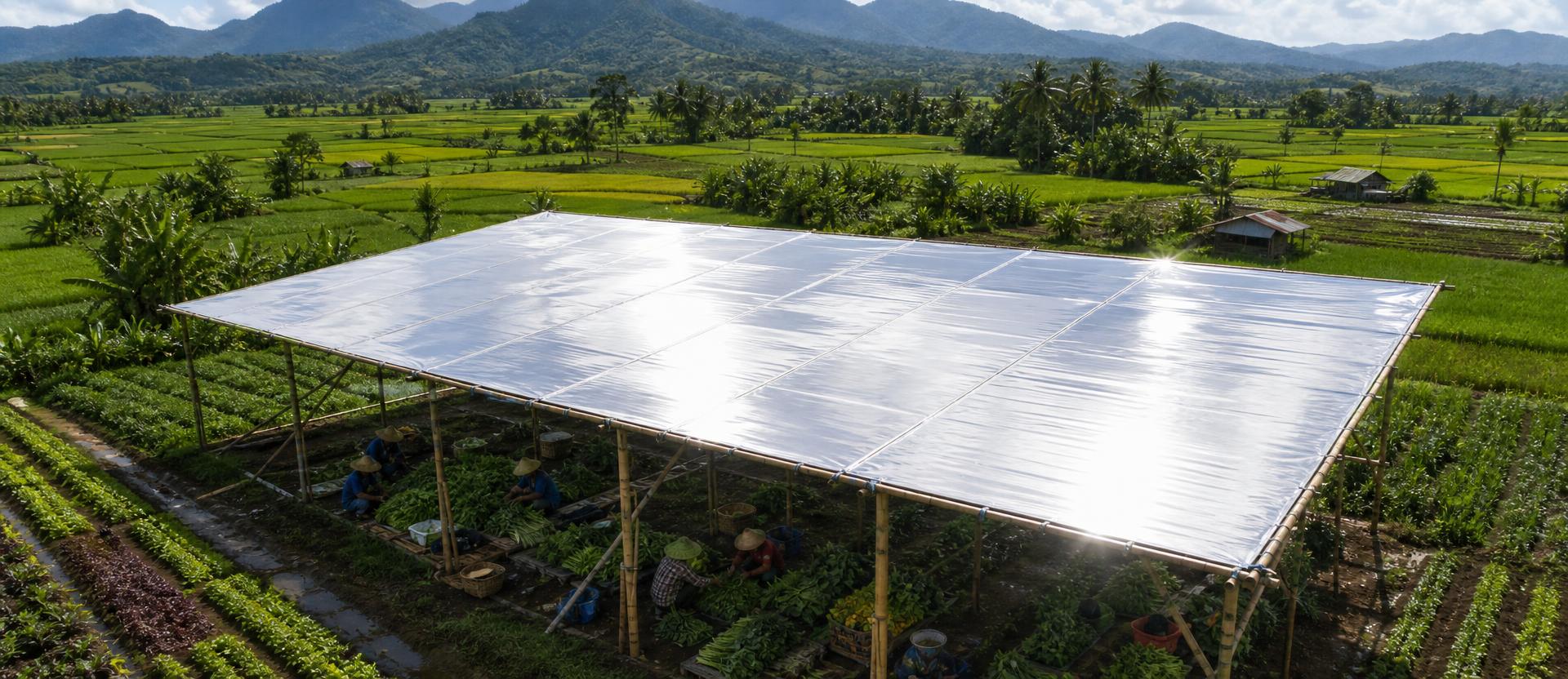 Aerial view of a large reflective silver canopy on a bamboo frame sheltering farmers as they sort vegetables, set against lush green rice paddies and distant mountains